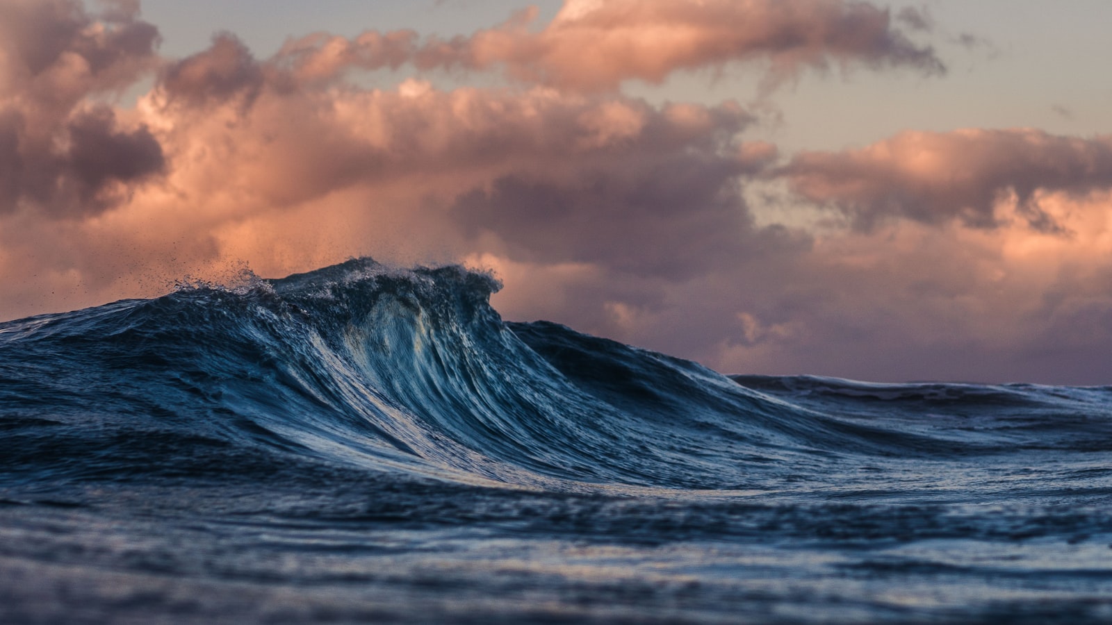Kitesurfeur sortant de l eau sur sa planche