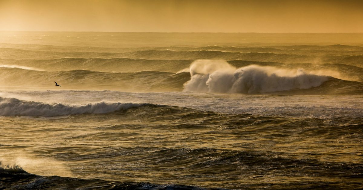 Crédit photo : Payton Bissell / Unsplash