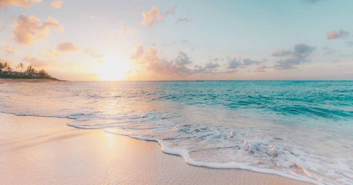 Plage et mer, illustration des ailes de kitesurf
