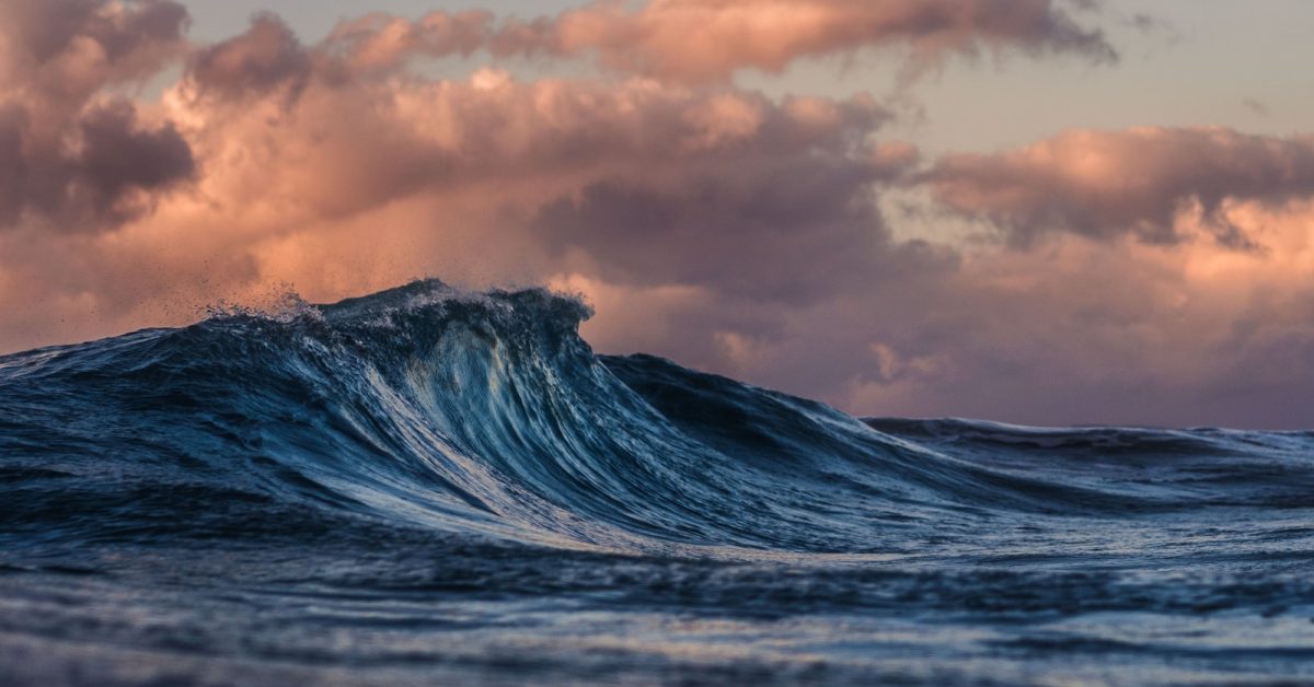 Kitesurfeur sortant de l eau sur sa planche