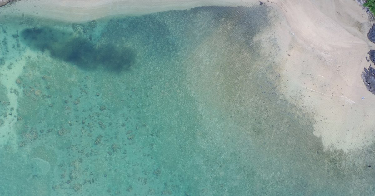 Wingfoil sur plan d'eau, aile tenue à bout de bras